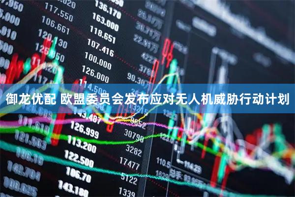 御龙优配 欧盟委员会发布应对无人机威胁行动计划