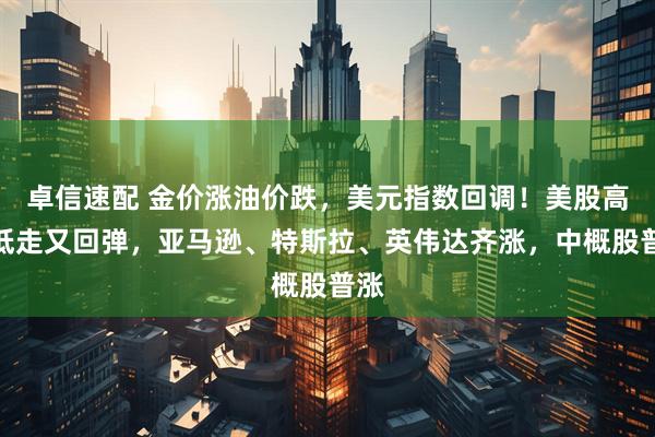 卓信速配 金价涨油价跌，美元指数回调！美股高开低走又回弹，亚马逊、特斯拉、英伟达齐涨，中概股普涨